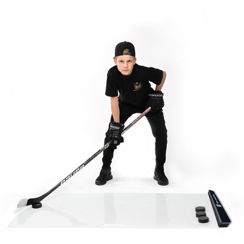 Ace hockey shooting - pad, x